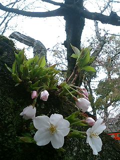 070402