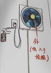 081007kankisen3