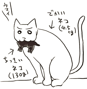 091127neko