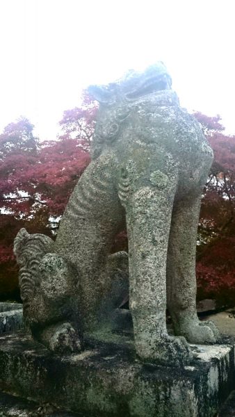 痩せ細った狛犬