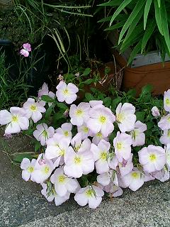 mb_0523030243